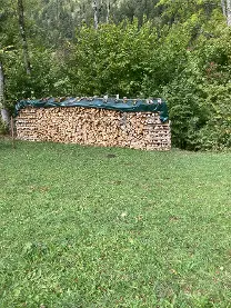 Brennholz Brennholz Esche