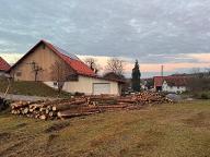 Rundholz Fichte Käferholz