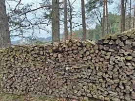 Brennholz Brennholz Fichte, Kiefer Scheitholz