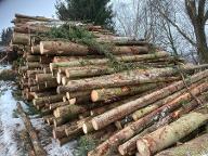 Brennholz Douglasie, Fichte, Erle Altenmünster 