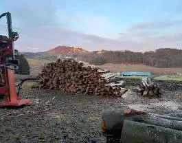 Brennholz Brennholz Buche