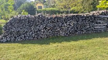 Brennholz Brennholz Esche