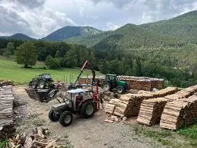 Brennholz Brennholz Buche