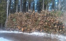 Hackgut Hartholz (>90%) Lunz am See 