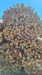 Brennholz Esche, Buche