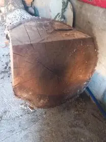 Rundholz Rundholz Nuss