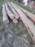 Rundholz Esche Für Brennholz Ternberg