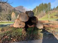 Rundholz Bergulme Blochholz
