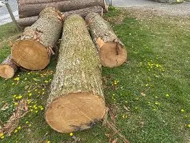 Rundholz Rundholz Kastanie Astrein