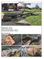 Rundholz Birne