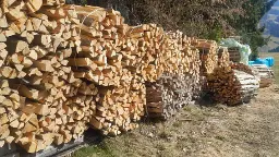 Brennholz Birke, Esche, Buche Zweinitz
