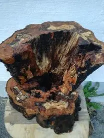 Holzprodukte Apfel gestockt