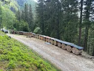 Brennholz Fichte, Esche Trofaiach