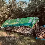 Brennholz Esche Wernstein am Inn