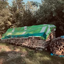 Brennholz Brennholz Esche