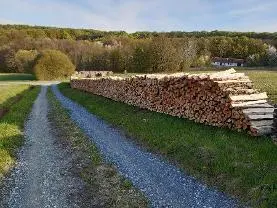 Brennholz Brennholz Buche Hainbuche, langsam gewachsen