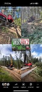 Dienstleistung Schneeflock Macht das Holz (Wegebau, Forstliche Beratung & Planung, Holzernte & Rückung, Baumabtragung/-pflege, Brennholz: Produktion/Handel)