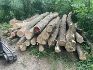 Rundholz Esche Faserholz Leopoldsdorf im Marchfelde
