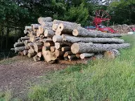 Rundholz Esche Brennholz zum selber spalten Waidhofen an der Ybbs