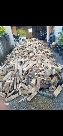 Dienstleistung Kinast Holzschlägerungen