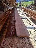 Lä. Schwartlinge einzeln oder im Bund 4565 Inzersdorf im Kremstal