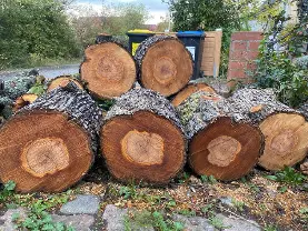 Rundholz Rundholz Birne gestockt