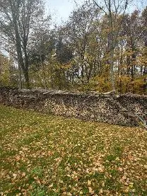 Brennholz Brennholz Buche