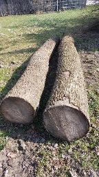 Rundholz Esche Gaspoltshofen