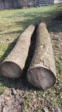 Rundholz Rundholz Esche