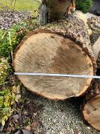 Rundholz Eiche Kraiburg am Inn