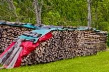 Brennholz Buche trocken, sofort zum heizen Unterbergen 