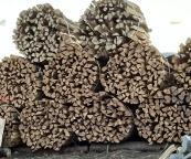 Brennholz Sonstiges Holz Arkazie