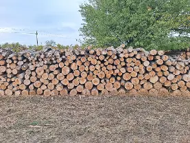 Brennholz Brennholz Esche, Buche