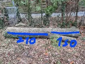 Rundholz Rundholz Eiche