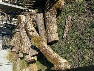 Rundholz Nuss Astware