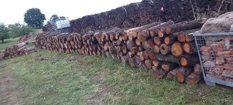Brennholz Brennholz Eiche