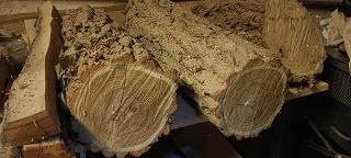 Rundholz Sonstiges Holz Div. Stämme (Lärche, Birke, Apfel, Kirsche, ...)