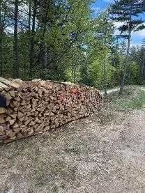Brennholz Brennholz Buche