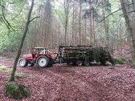 Dienstleistung Forstservice Hahn (Aufforstung, Holzernte & Rückung, Baumabtragung/-pflege, Brennholz: Produktion/Handel)