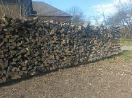Brennholz Hainbuche, Rotbuche