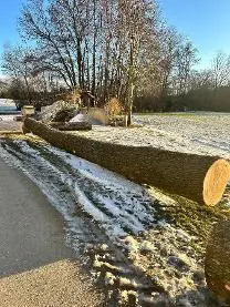 Rundholz Rundholz Eiche