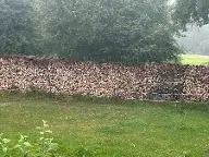 Brennholz Buche Zlan