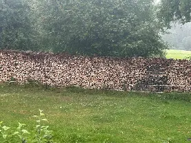 Brennholz Brennholz Buche