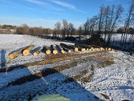 Rundholz Esche Geboltskirchen