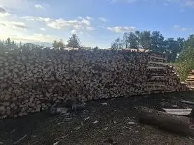 Brennholz Brennholz Esche, Ahorn, Buche
