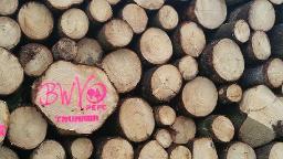 Dienstleistung Forstbetrieb Trummer Holzernte und Vermarktung Waldhelfer Mst. Ing. Martin Trummer (Aufforstung, Forstliche Beratung & Planung, Holzernte & Rückung, Holzvermarktung)