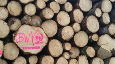 Dienstleistung Forstbetrieb Trummer Holzernte und Vermarktung Waldhelfer Mst. Ing. Martin Trummer (Aufforstung, Forstliche Beratung & Planung, Holzernte & Rückung, Holzvermarktung)