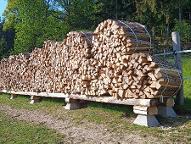 Brennholz Esche, Eiche, Buche