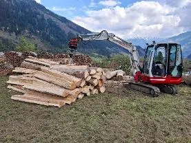 Dienstleistung Holzspalten mit Kegelspalter (sonstige Holz-Dienstleistung)