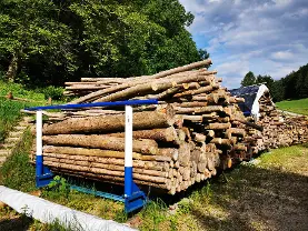 Rundholz Rundholz Buche Faserholz, Hackschnitzelholz (reserviert!)